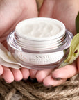Premium Snail Cream - drėkinamasis kremas su sraigių mucinu ir probiotikais