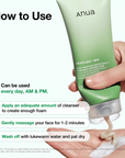 ANUA Heartleaf Quercetinol Pore Deep Cleansing Foam – giliai poras valantis veido prausiklis