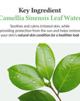 DR.ALTHEA Green Tea Fresh Sunscreen SPF50+ – raminantis apsauginis kremas nuo saulės