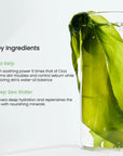 Refreshing Sea Kelp Real Deep Mask - raminanti ir atgaivinanti kaukė (4 vnt)