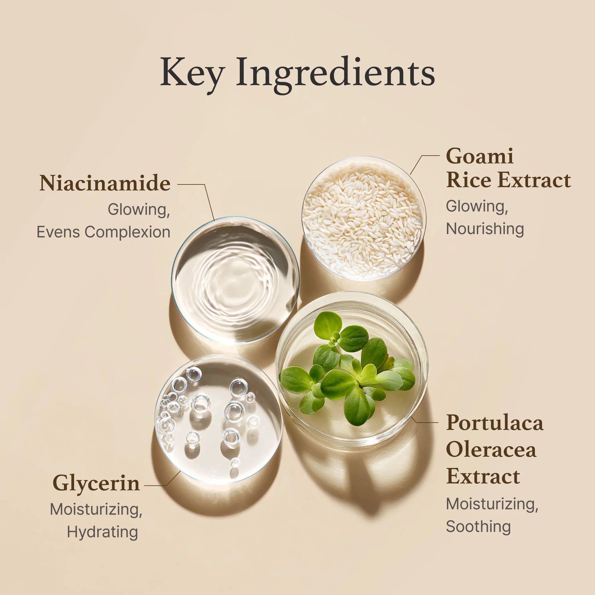 Rice Toner – veido tonikas su ryžių ekstraktu