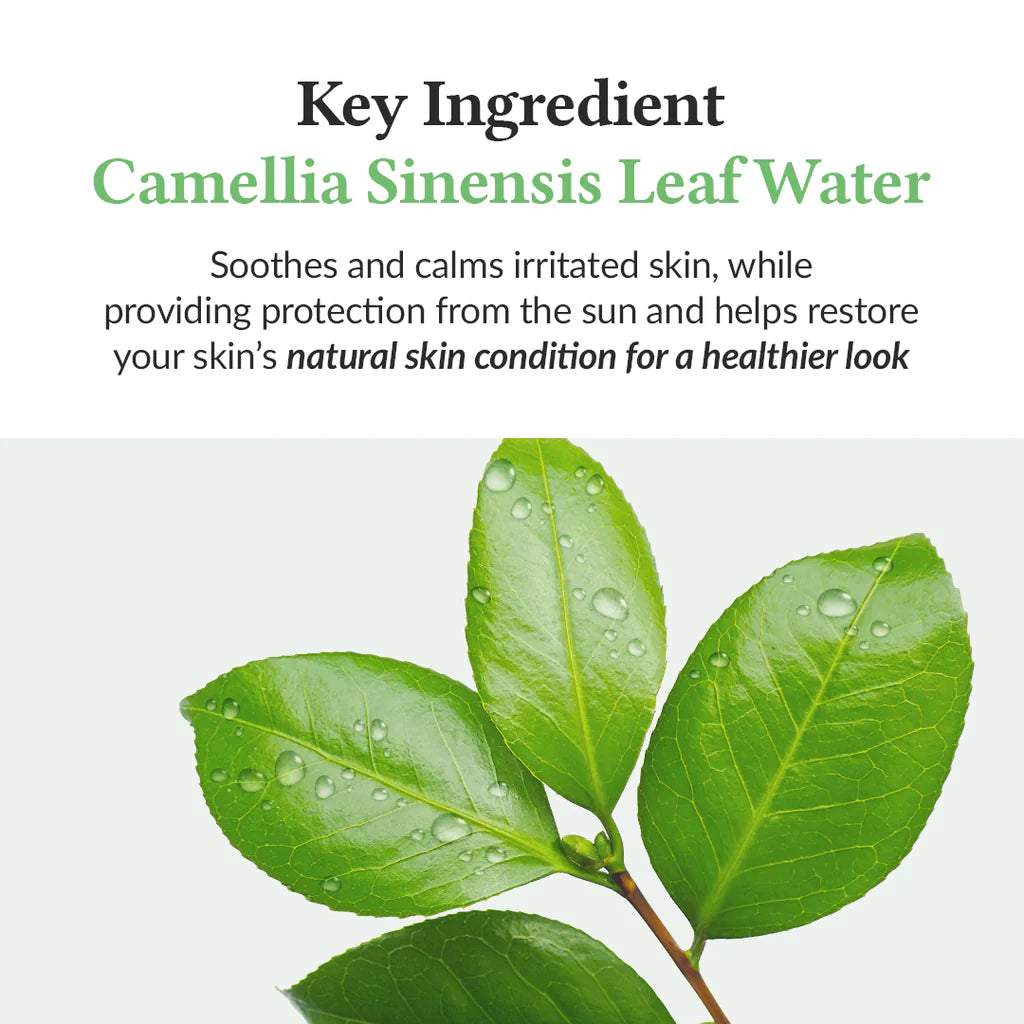 DR.ALTHEA Green Tea Fresh Sunscreen SPF50+ – raminantis apsauginis kremas nuo saulės